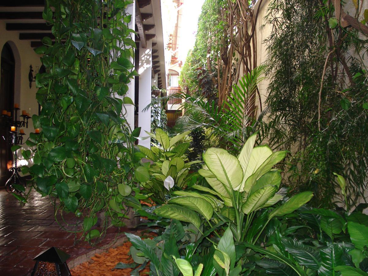 Casa Florencia Hotel Antigua Kültér fotó