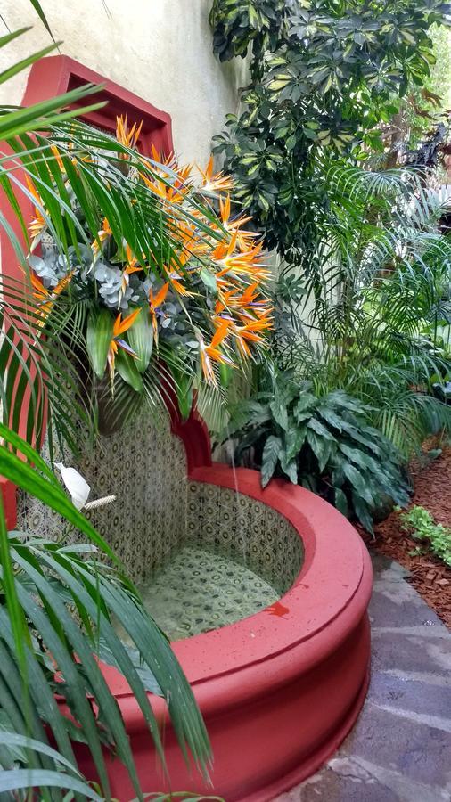 Casa Florencia Hotel Antigua Kültér fotó